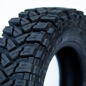climber raptor trepador plus 2